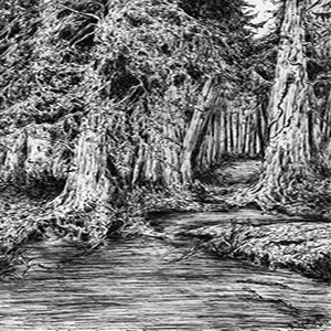 swamp forest artwork